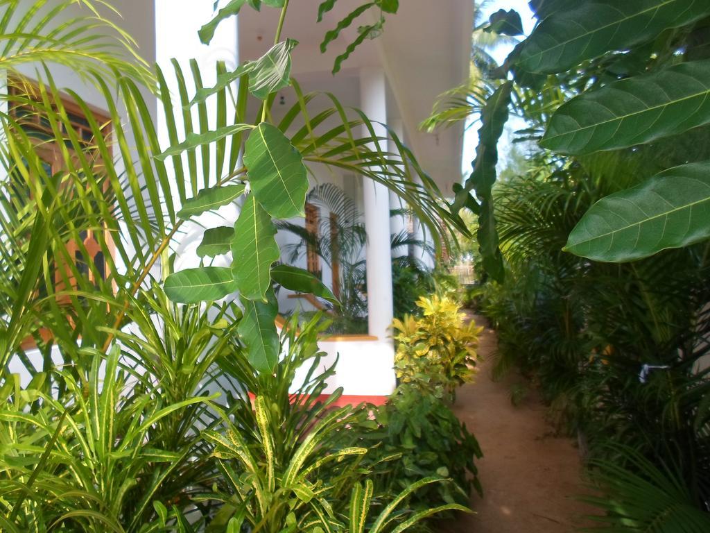 Surf & Sand Hotel Arugambay Arugam Kudah Eksteriør bilde